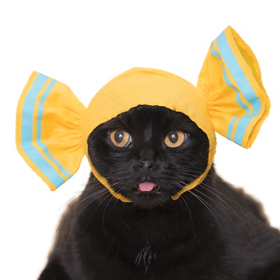 ねこキャンディ