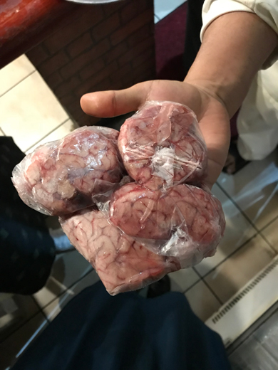 チョーヒカル ゲテモノ 脳みそ 羊 マルハバ