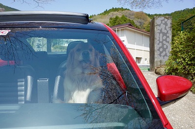 こー君　ドライブ