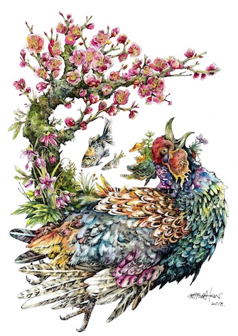Hizen, Flowers of Saga, Cat Monster of the Inner Garden