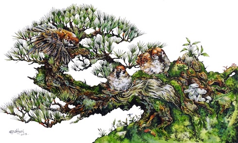 マツダケン 水彩画 日本画