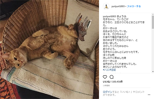 行方不明 犬 花子 保護 村岡希美 ともさかりえ 石田ゆり子 江口ともみ