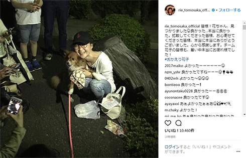 行方不明 犬 花子 保護 村岡希美 ともさかりえ 石田ゆり子 江口ともみ