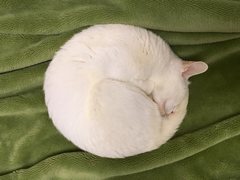 240_news038.jpg