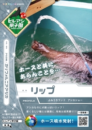 ヒレアシ甲子園