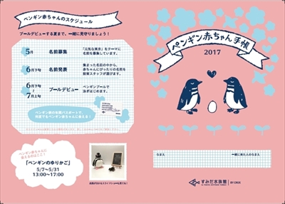 すみだ水族館マゼランペンギン