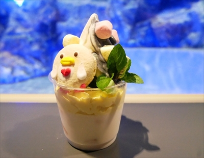 すみだ水族館マゼランペンギン