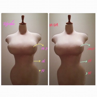 叶姉妹 スリーサイズ カップ数 Qカップ ブログ トルソー ボディーメイク