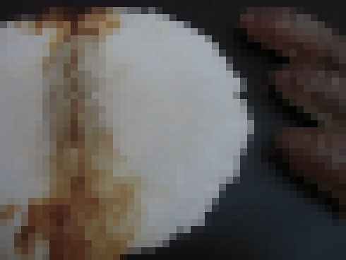 オオグソクムシせんべい