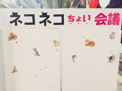 ネコネコちょい会議