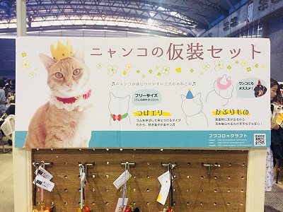 ネコネコちょい会議