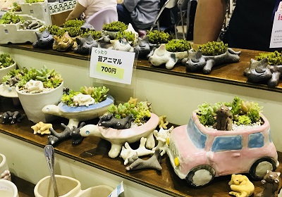 ネコネコちょい会議