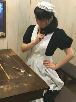 シャッツキステ メイド 同人誌