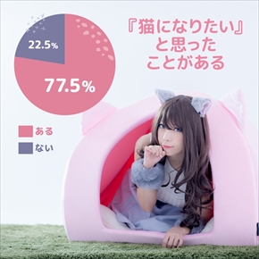 人間用ペットハウス