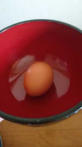 生卵 転がす ヤバイ 聞こえる
