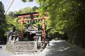 そうだ 京都、行こう。 平野屋