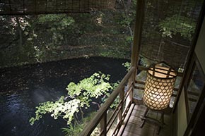 そうだ 京都、行こう。 平野屋