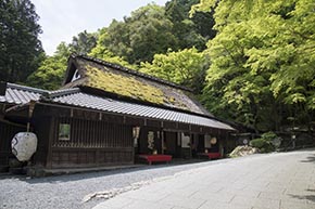 そうだ 京都、行こう。 平野屋