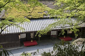 そうだ 京都、行こう。 平野屋