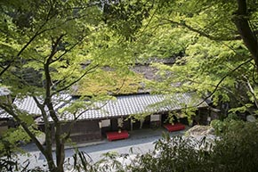 そうだ 京都、行こう。 平野屋