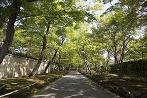 そうだ 京都、行こう。 宝厳院