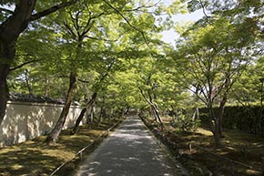 そうだ 京都、行こう。 宝厳院
