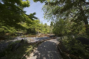 そうだ 京都、行こう。 宝厳院