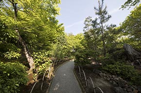 そうだ 京都、行こう。 宝厳院