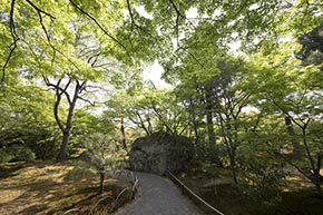 そうだ 京都、行こう。 宝厳院
