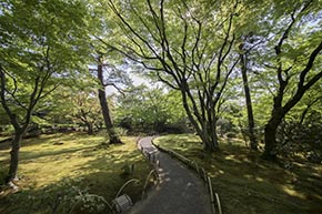 そうだ 京都、行こう。 宝厳院
