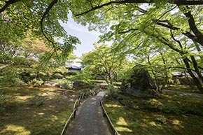 そうだ 京都、行こう。 宝厳院