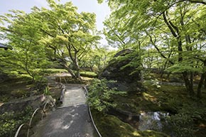 そうだ 京都、行こう。 宝厳院