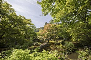 そうだ 京都、行こう。 宝厳院