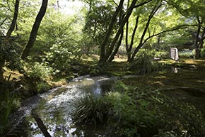 そうだ 京都、行こう。 宝厳院