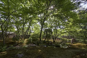 そうだ 京都、行こう。 宝厳院