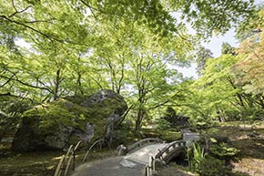 そうだ 京都、行こう。 宝厳院