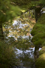 そうだ 京都、行こう。 宝厳院