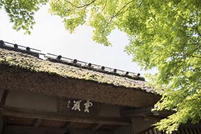 そうだ 京都、行こう。 宝厳院