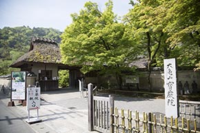そうだ 京都、行こう。 宝厳院
