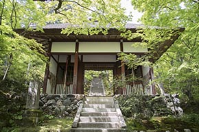 そうだ 京都、行こう。 常寂光寺