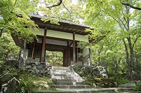 そうだ 京都、行こう。 常寂光寺