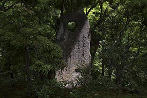 そうだ 京都、行こう。 常寂光寺