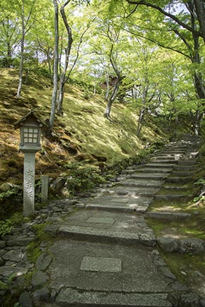 そうだ 京都、行こう。 常寂光寺