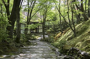そうだ 京都、行こう。 常寂光寺