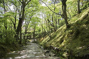 そうだ 京都、行こう。 常寂光寺