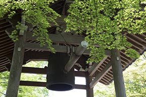 そうだ 京都、行こう。 常寂光寺