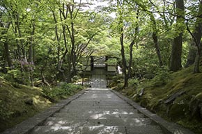 そうだ 京都、行こう。 常寂光寺