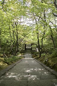 そうだ 京都、行こう。 常寂光寺