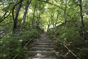 そうだ 京都、行こう。 常寂光寺