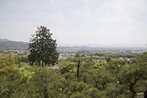 そうだ 京都、行こう。 常寂光寺